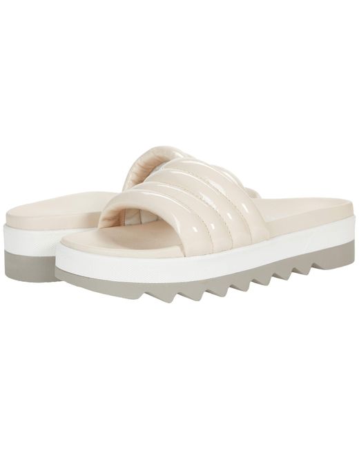 what stores sell platform converse