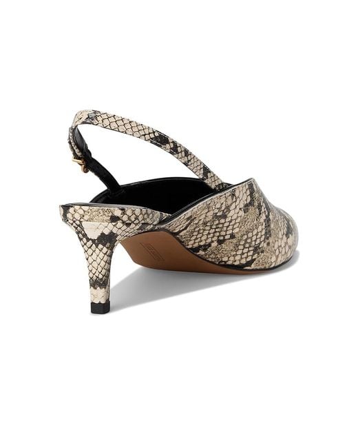 Vince Camuto Black Kylien Slingback Kitten Heel Pumps Shoes/Cream/ Leather/Suede
