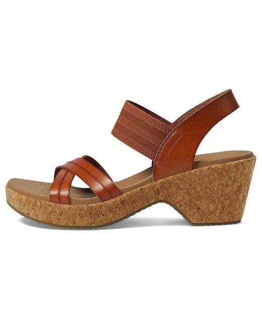 Skechers Brown Brystol