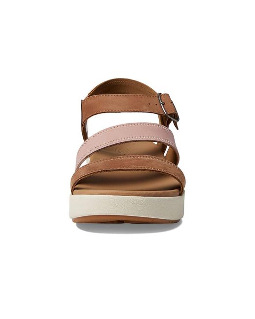 Keen Brown Ellecity Backstrap (Toasted Coconut/Fawn) Shoes