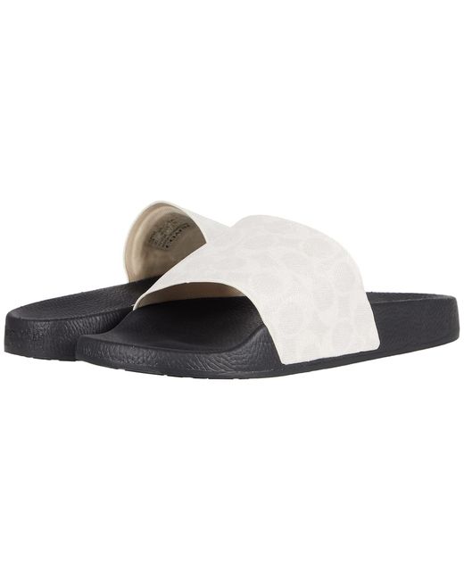 coach men's signature slides