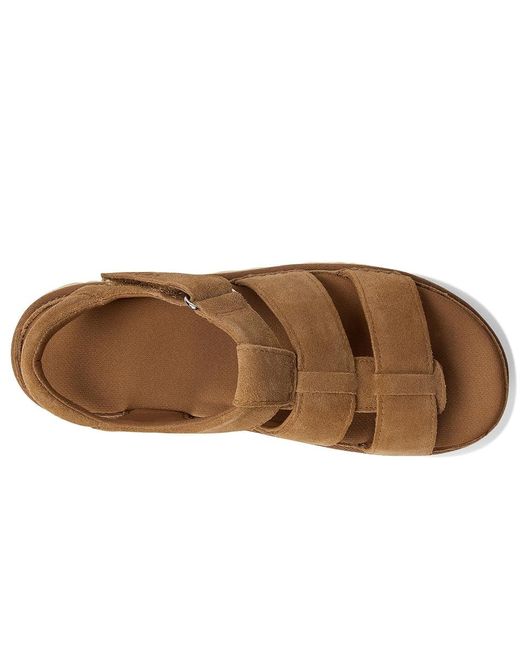 Ugg Brown Godenstar Strap Shoes 8 B