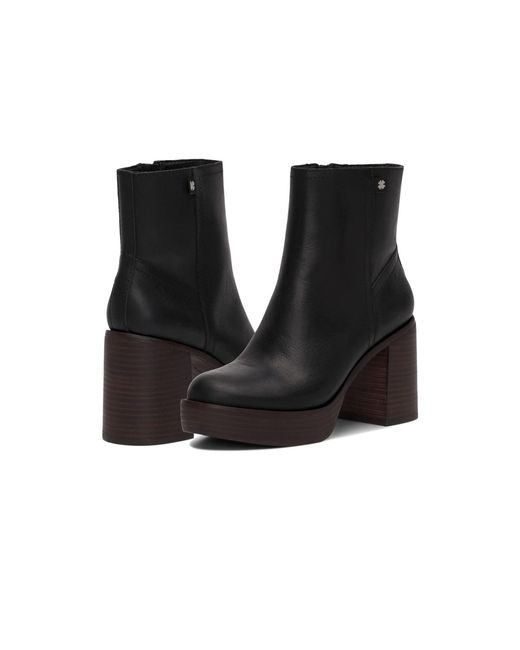 lucky brand oxina