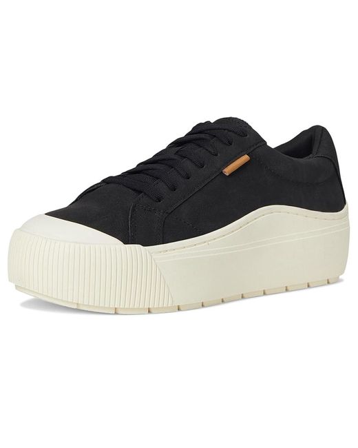 Dr. Scholls Black Time Max Lace-Up Shoes Shoes, Canvas/Faux Leather/Synthetic
