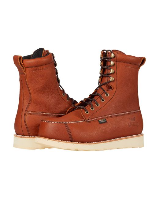 irish setter 83856