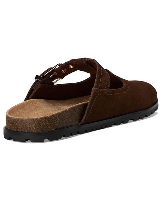 Steve Madden Brown Atticus Shoes