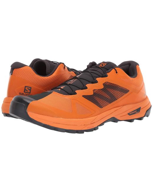 salomon x alpine pro