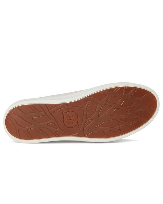 Born White Mazzy Sandals (Sea Salt) 6.5 M (B) Leather