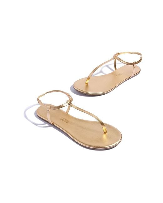 TKEES Black Mariana (Blink) Shoes