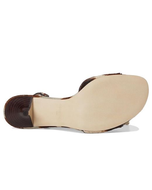 Steve Madden Brown Henrietta Sandals, Leather