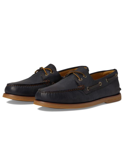 Zappos sperry on sale gold cup