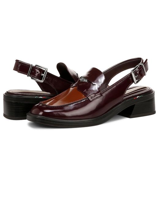 Franco Sarto Black Giada Shoes, Leather