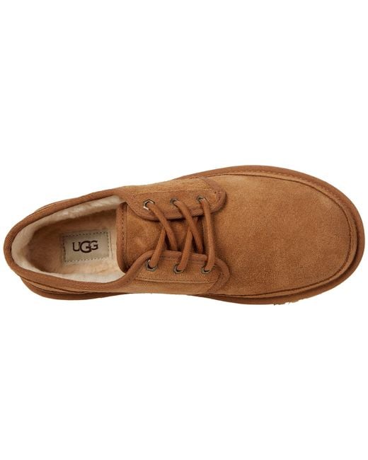 ugg lows