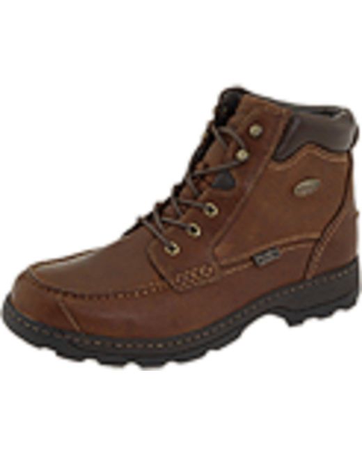 irish setter soft paw 3875