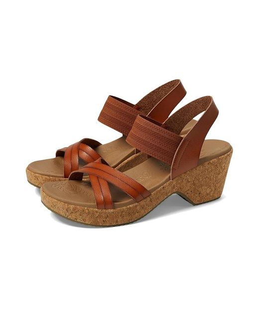 Skechers Brown Brystol