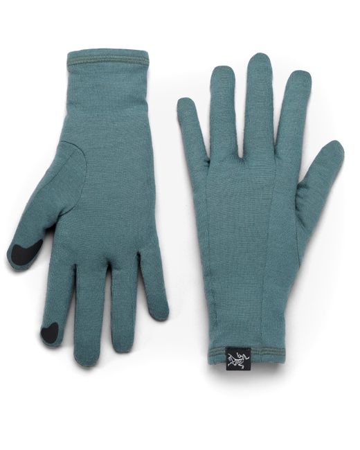 Arc'teryx Blue Gothic Gloves