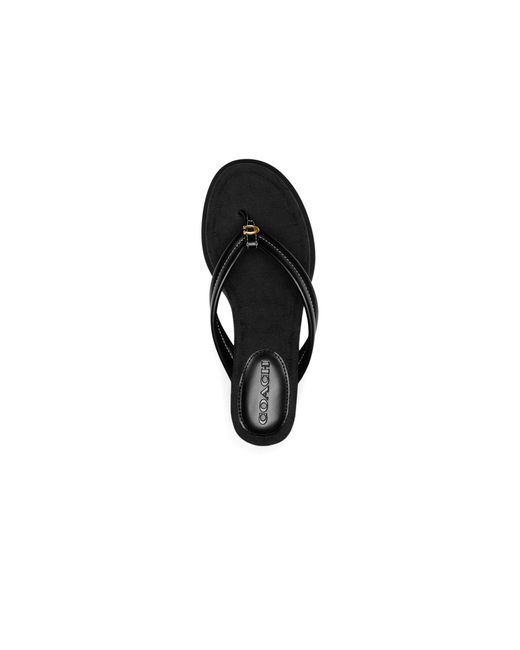 COACH Black Franki Flip-flops In Signature Jacquard