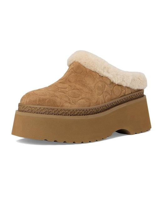 COACH Brown Cecelia Clog