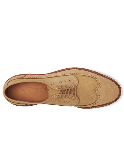Allen Edmonds Multicolor Winstonmok Derby Shoes Shoes 11 D (M) Leather/Suede for men