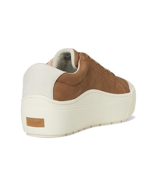 Dr. Scholls Multicolor Time Max Lace-Up Shoes Shoes, Canvas/Faux Leather/Synthetic