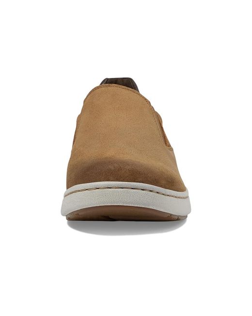 Dansko Brown Trent ( Burnished Suede) Slippers for men