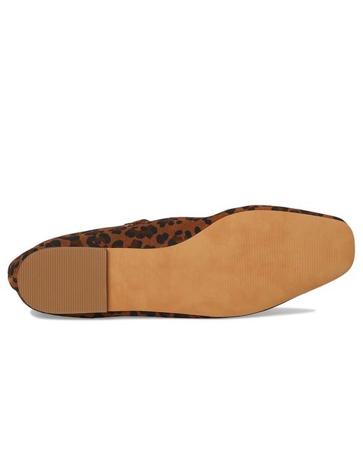 Steve Madden Brown Maple Shoes, Leather/Mesh