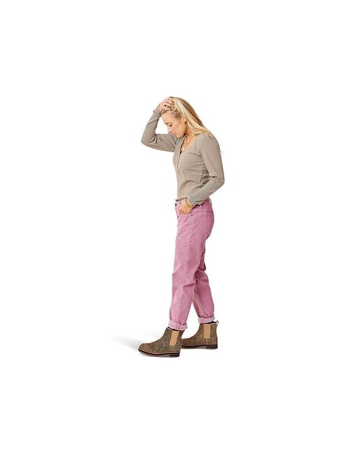 Carve Designs Black Carson Cord (Orchid) Casual Pants