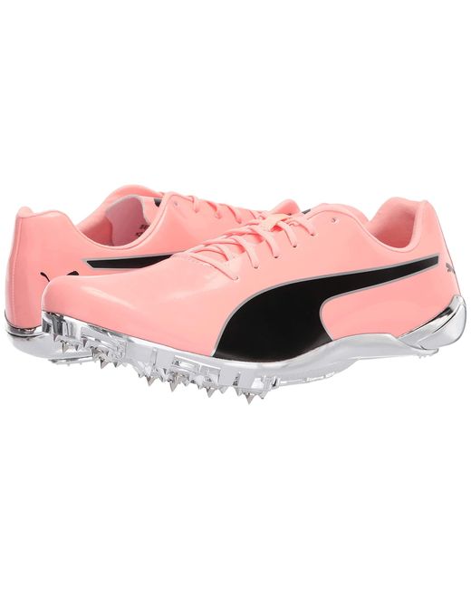 outlet shop online PUMAMen´s Orange Evospeed Electric 10 827925135 outlet  sale price -www.cobakamedia.com