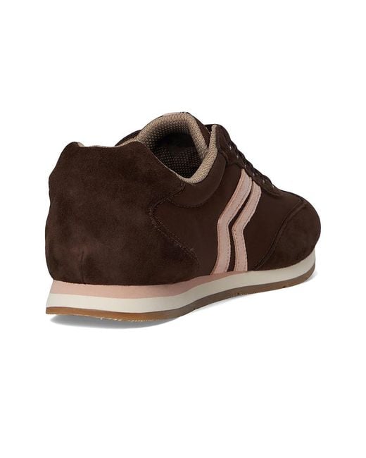 Dr. Scholls Brown Comeback Lace-Up Shoes Shoes, Leather/Synthetic
