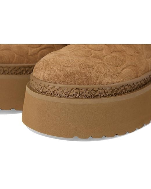 COACH Brown Cecelia Clog