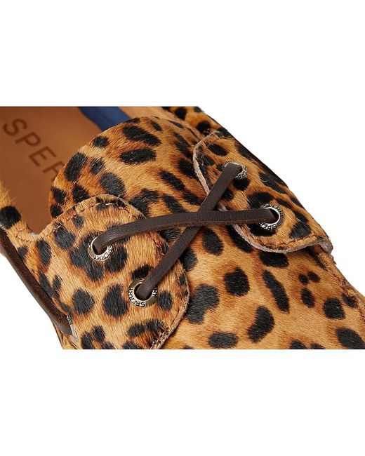 Sperry Top-Sider Brown Slimboat Shoes Primary