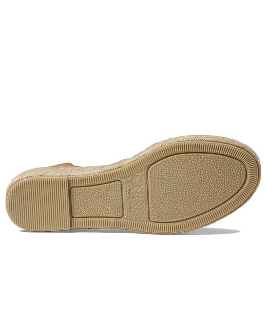 Toni Pons Brown Ebre-P ( Leather) Shoes