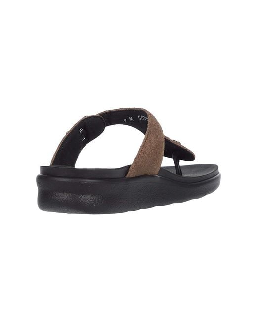 SAS Black Sanibel Comfort Thong Sandal (Trail) Shoes