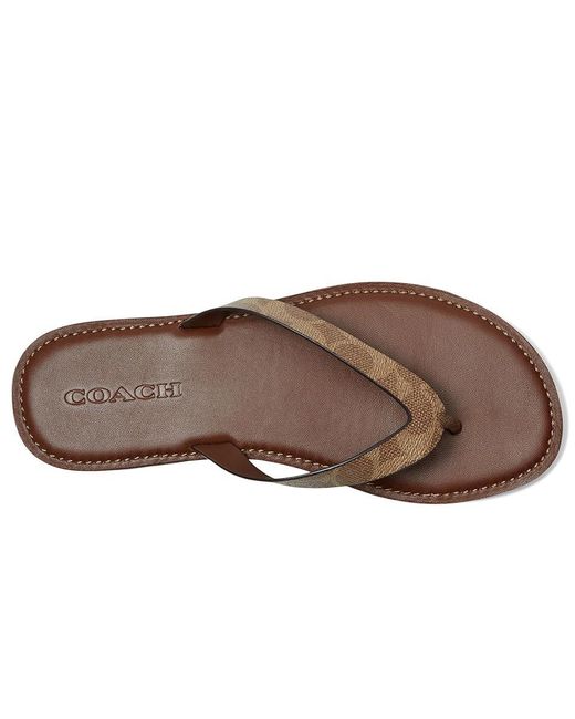 COACH Brianna Flip Flop in Brown | Lyst
