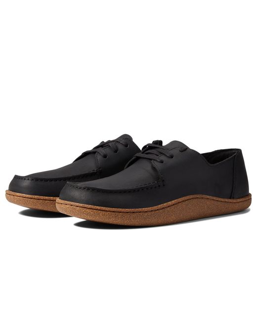clarks bampton lace