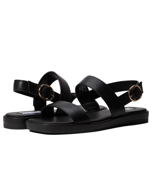 steve madden ethos