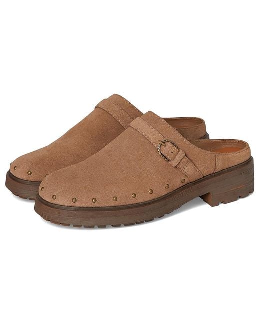 Lucky Brand Brown Caytina Shoes 7 B