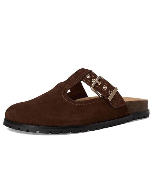 Steve Madden Brown Atticus Shoes