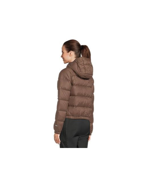 The North Face Brown Hydrenalitetm Down Hoodie Coat, Down/Nylon