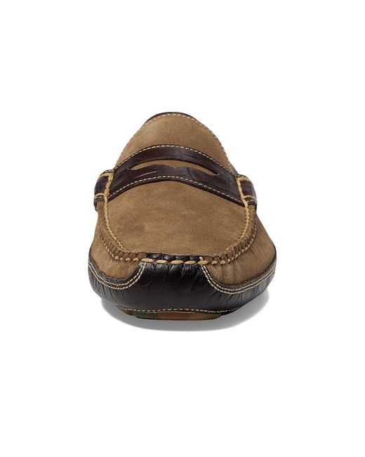 Martin Dingman Black Monte Carlo Penny Driving Style Loafer (Earth) Shoes for men