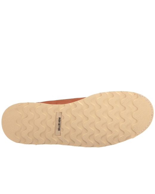 irish setter 83632