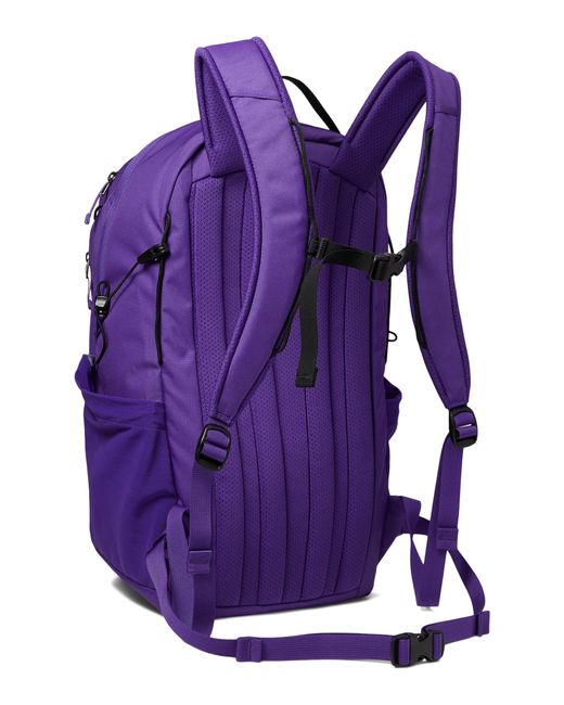 Arc'teryx Purple Mantis 26 Backpack