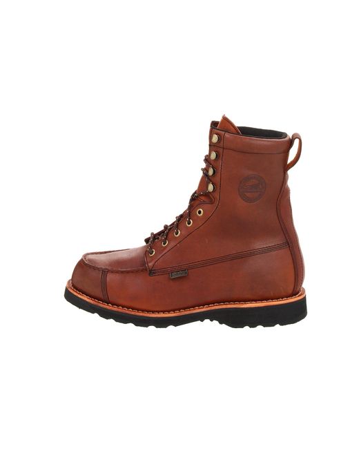 irish setter 808