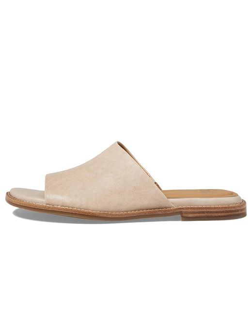 Söfft Black Noble (Tapioca) Sandals