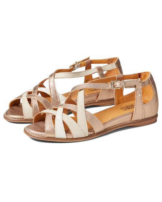 pikolinos talavera w3d