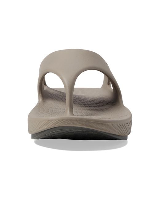 Skechers Gray Go Recover Refresh Sandal for men