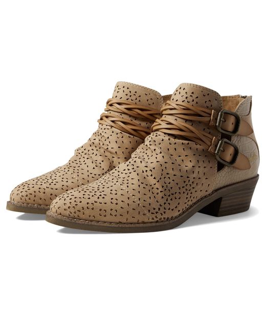 Zappos blowfish best sale
