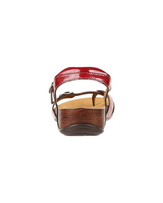 SAS Red Pampa