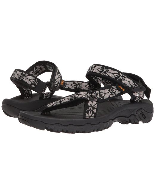 hurricane 4 teva