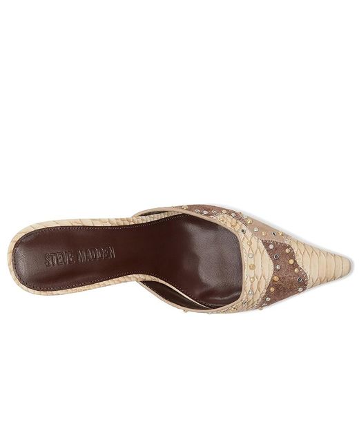 Steve Madden Black Alexi Shoes, Synthetic